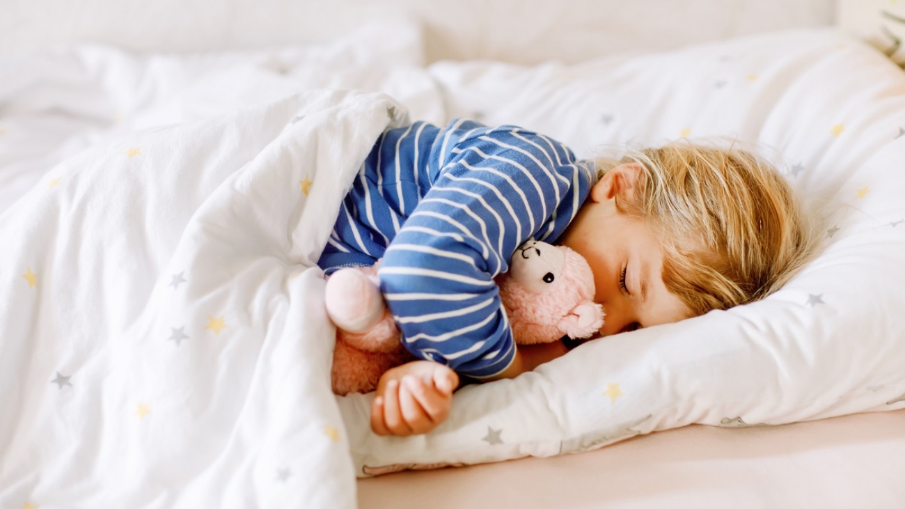 Cute little toddler girl sleeping in bed with favourite soft plush toy lama. Adorable baby child dreaming, healthy sleep of children by day