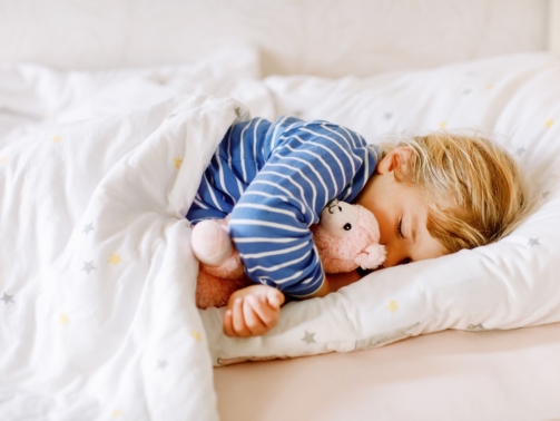 Cute little toddler girl sleeping in bed with favourite soft plush toy lama. Adorable baby child dreaming, healthy sleep of children by day